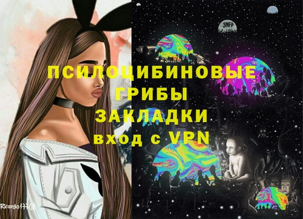 эйфоретик Алзамай